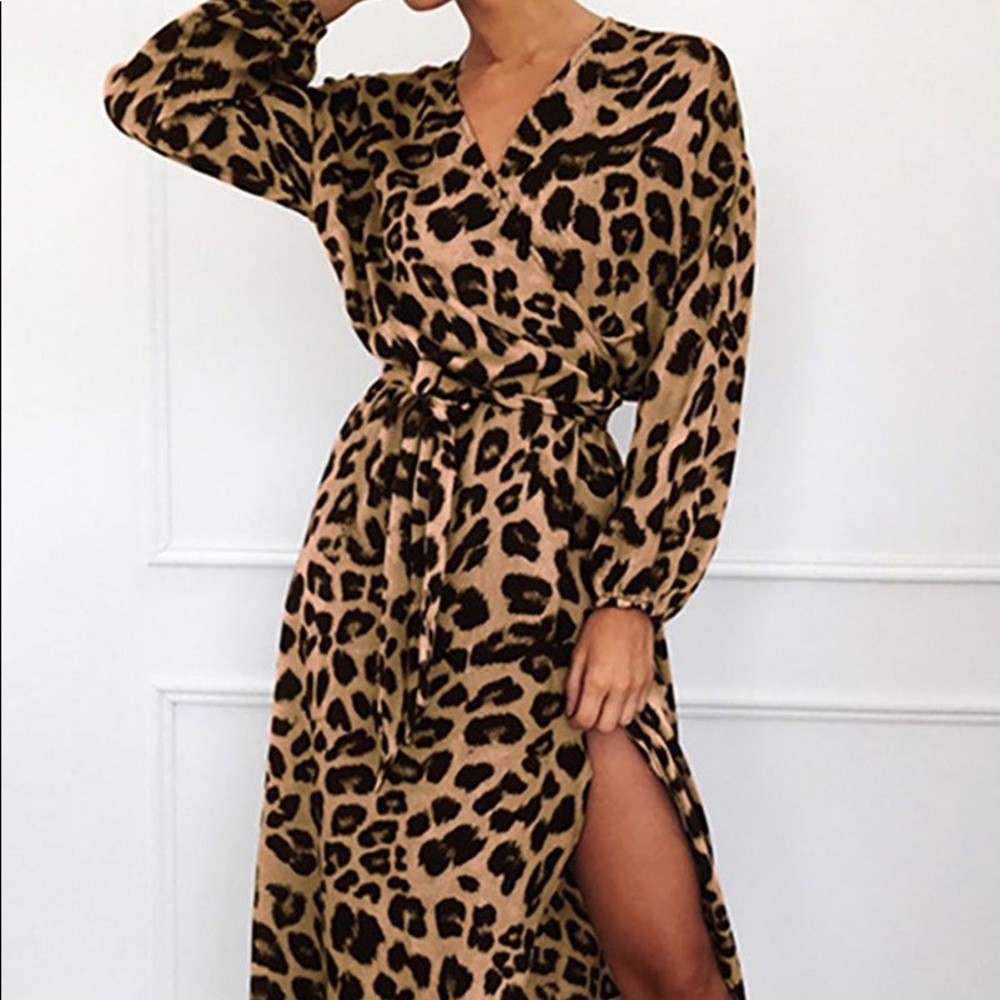 Leopard Printed Long Sleeve Dress
